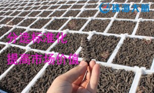 大家都用重量分揀機分選海參了！您還在用人工分選嗎？