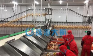 復(fù)工后禽肉屠宰加工產(chǎn)量提不上去？快用珠海大航重量分選機(jī)