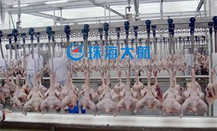 重量分揀設(shè)備如何實現(xiàn)整雞分選？
